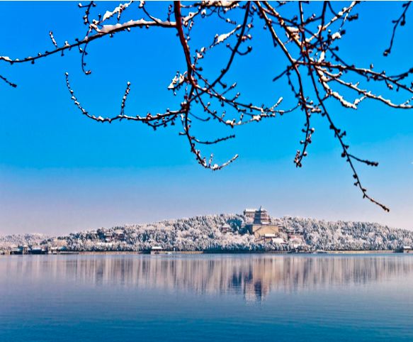 古诗词春雪,古诗鉴赏春寒