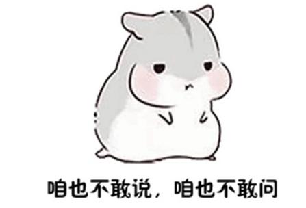 2019网络热词热句大盘点,2019年度热词盘点这些梗你都懂吗