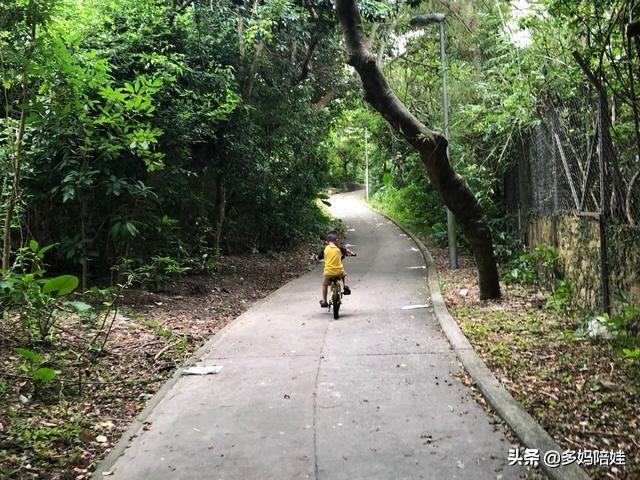 可以带孩子玩的大自然游戏,野外探险游戏项目