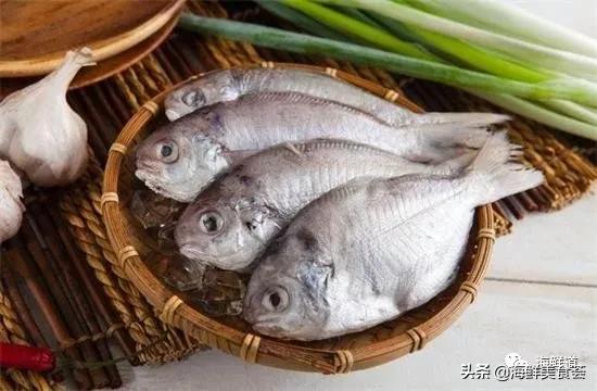 十种最美味海鲜,100种常见海鲜大全图