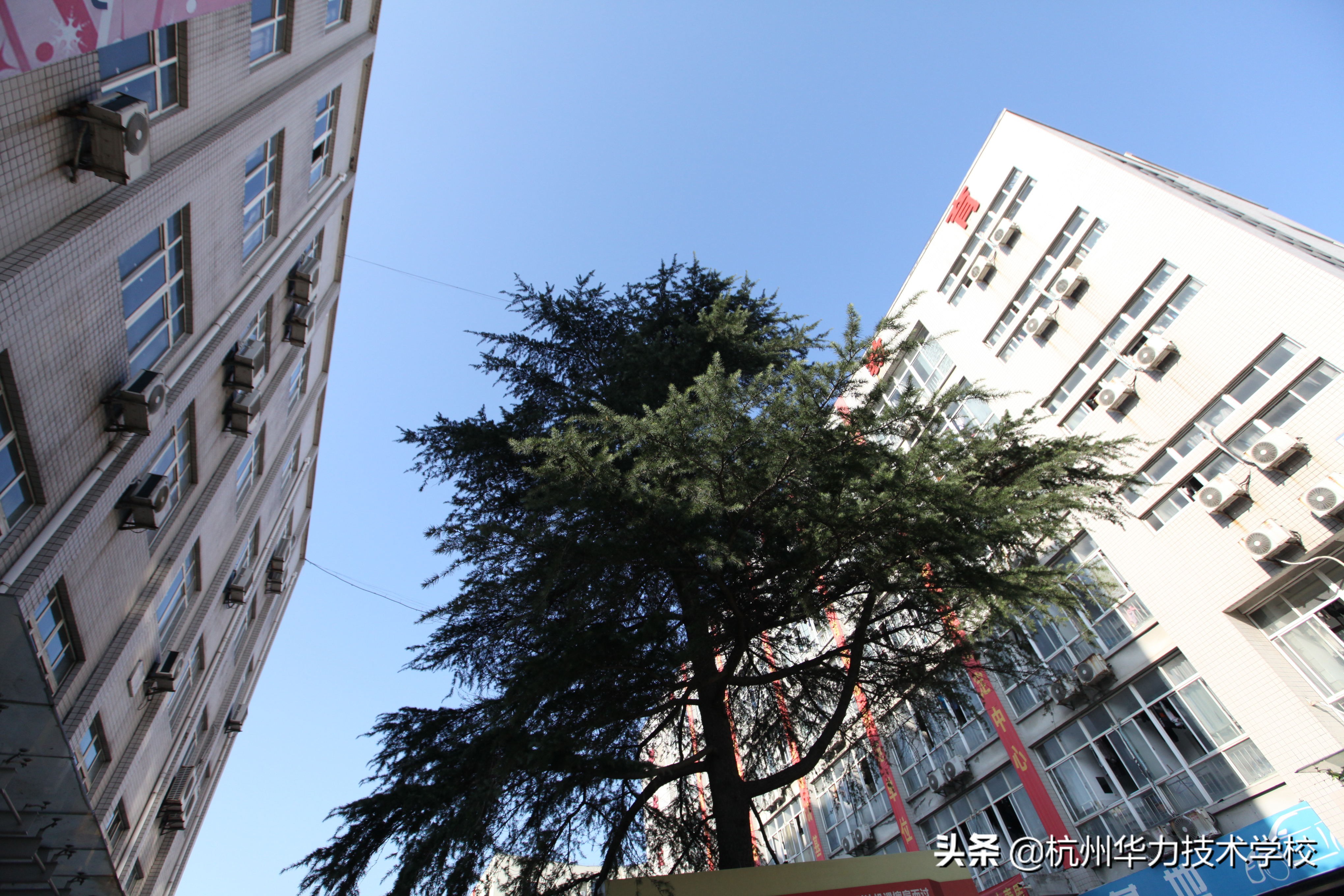 如何设置打印机共享-杭州华力技术学校