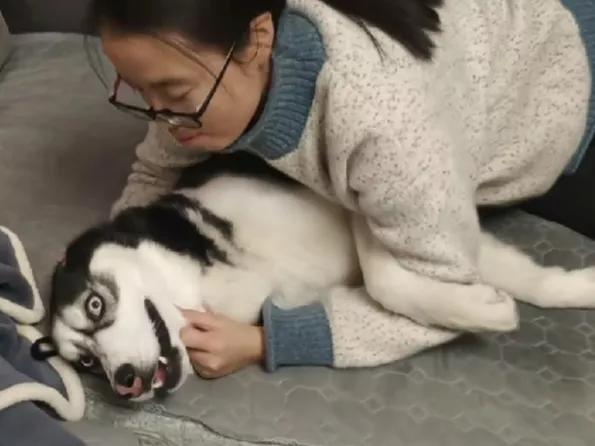 经常跟狗亲密接触能得病吗,人和狗亲密接触会传染细菌吗