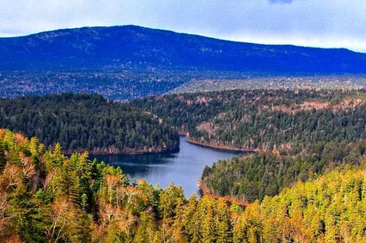 日本旅游吃饭攻略,日本游美食必购清单