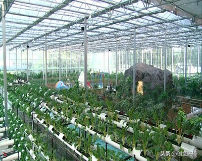 三农领域为什么这么难做,三农对农业发展有什么重要性