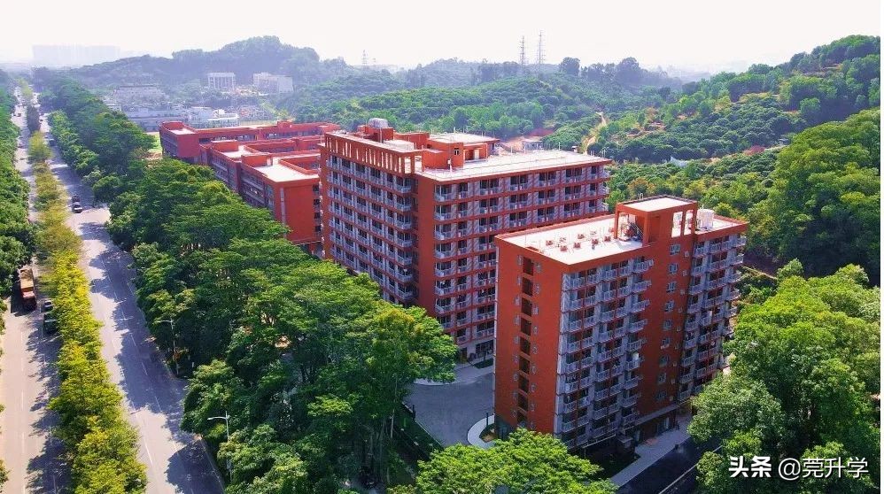 东华松山湖高级中学多少分录取,东华松山湖高级中学招生名额