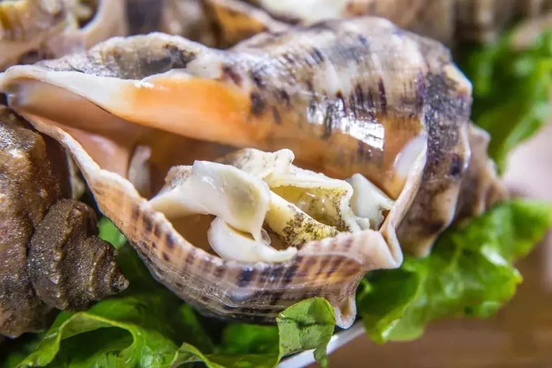 鍗楁槍娴烽矞鐑х儰鐢熻殱,鍗楁槍鐑х儰鐢熻殱鎺ㄨ崘