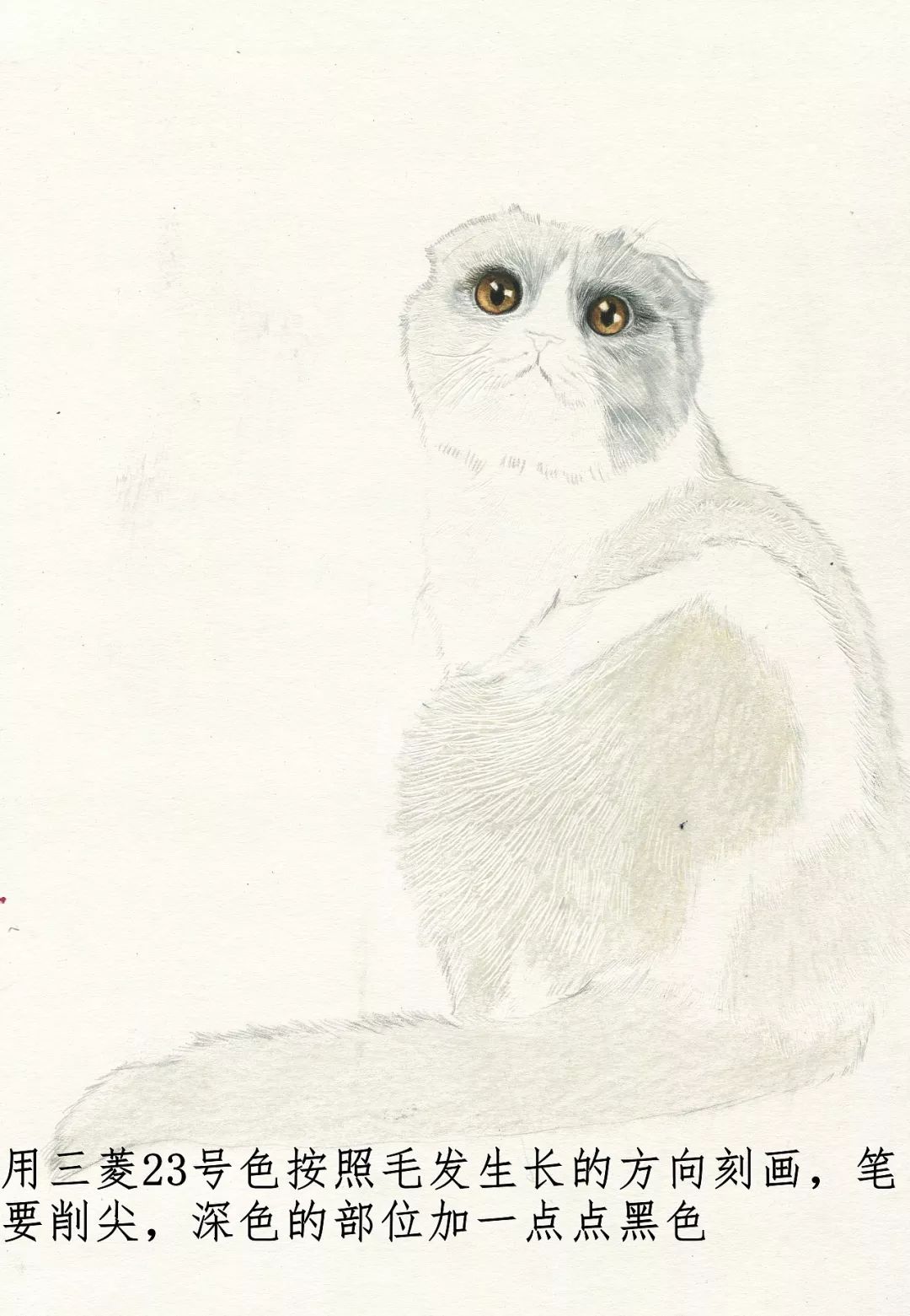 素描动物最全的收集,精微素描动物临摹高清大图