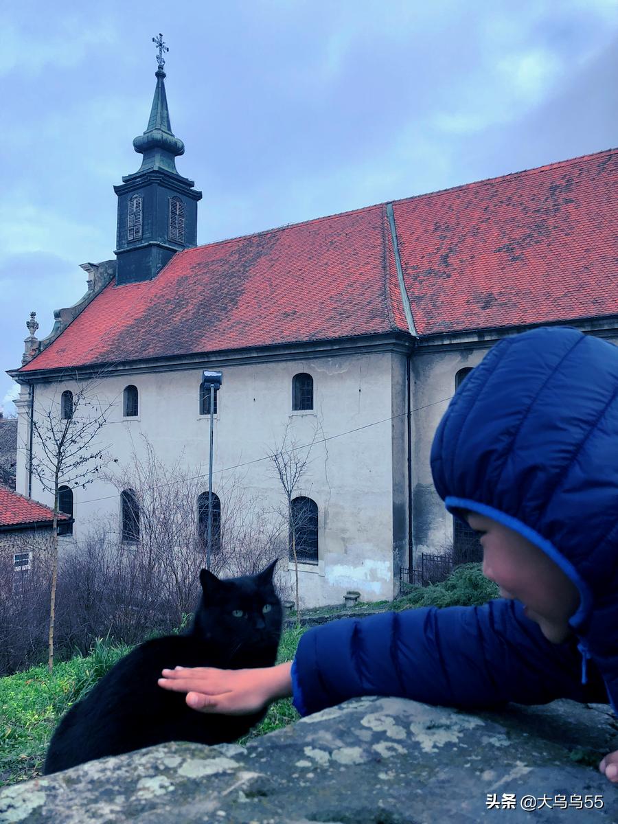 菜鸟海外集运流程,第一次出国游选择