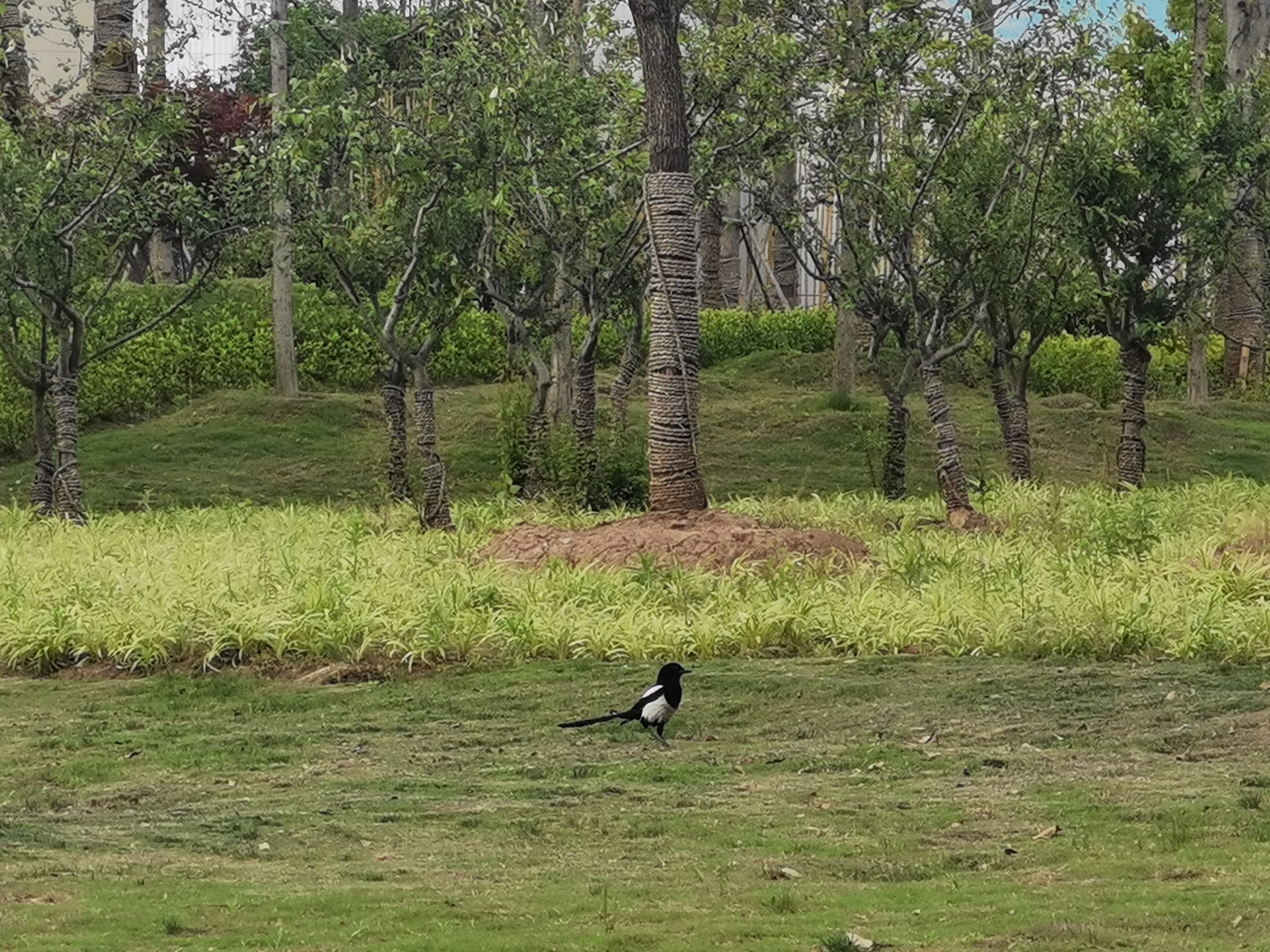 曾经的脏乱差变成了现在的新景观,从面目全非到焕然一新