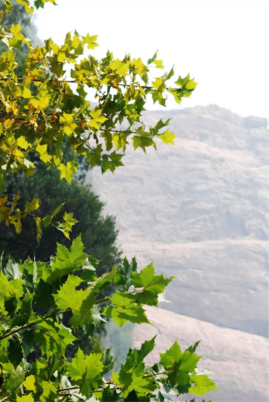 邯郸七步沟景区好玩吗多少钱,邯郸东太行七步沟景区的全景