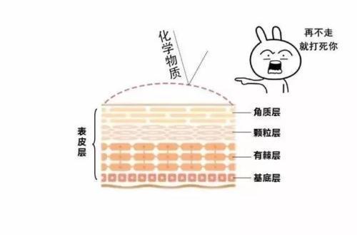 减肥沐浴露真的好使吗,用瘦身沐浴露真的可以瘦身吗