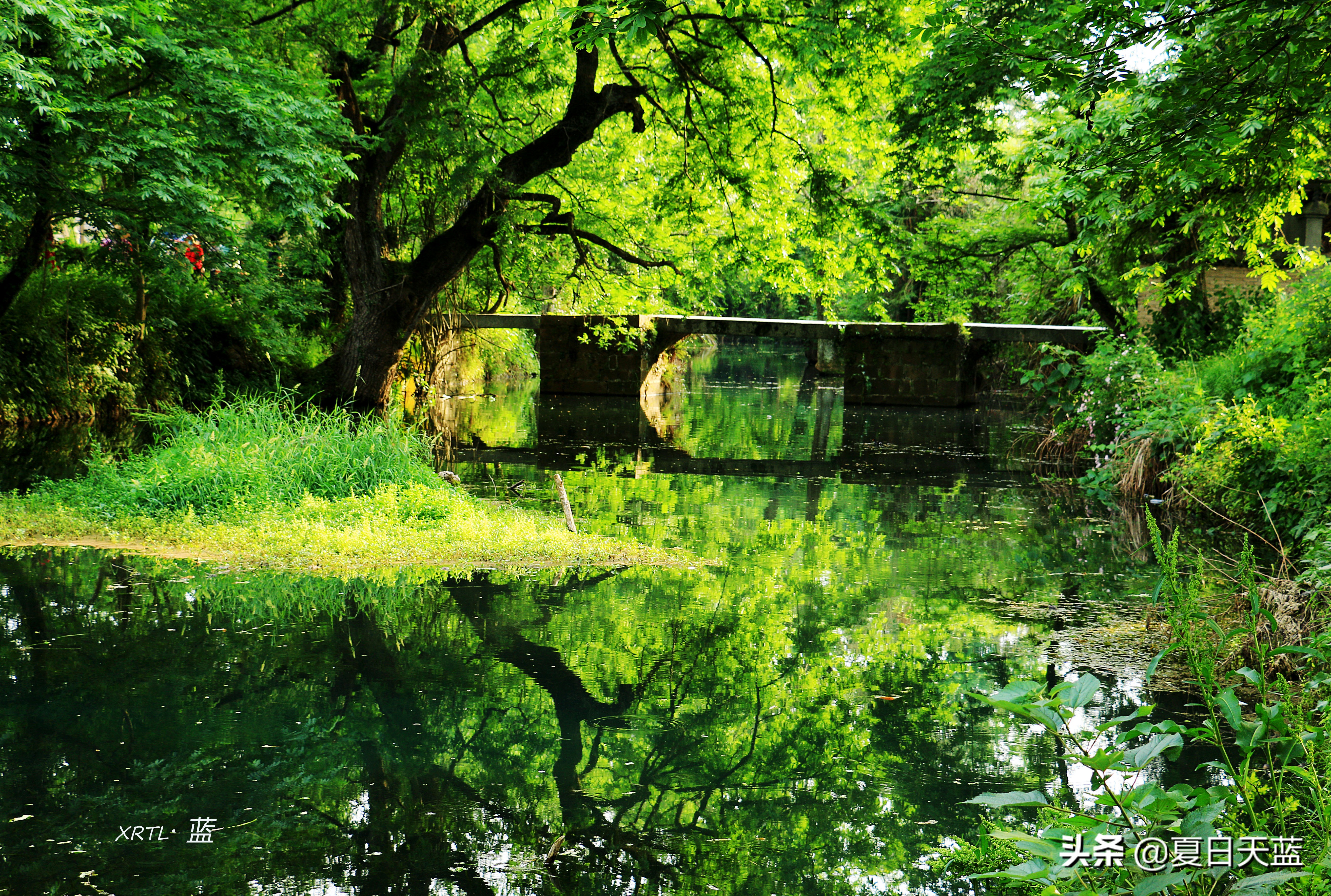 李白在桃花潭写的千古名句,桃花潭因李白而出名的诗句