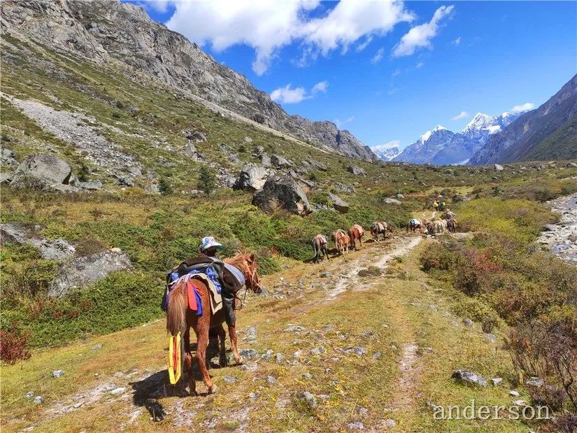陪着贡嘎过仲秋，深夜听到女生的尖叫（上）