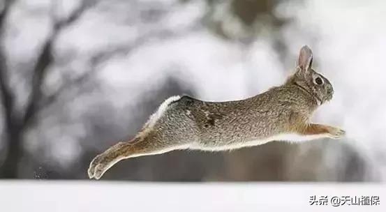 新疆的南疆图木舒克属于阿克苏吗,新疆图木舒克城市风景