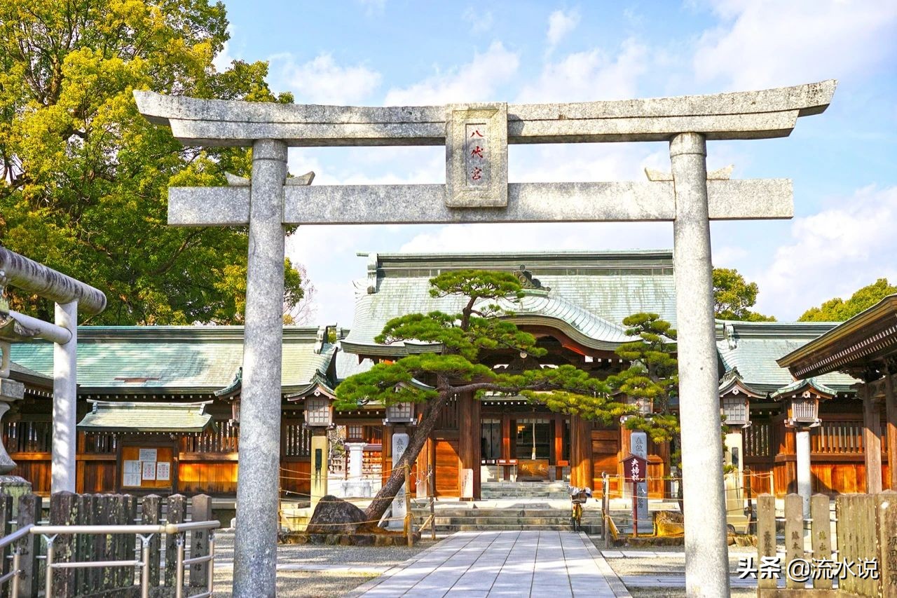 日本哪里的柚子好吃,日本北九州柚子