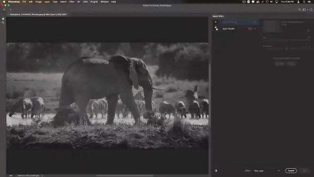 adobe2021ps新功能,adobeps2021教程