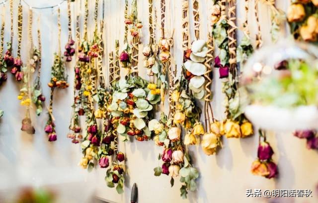 如何制作干花使其可以永久保存,如何制作干花书签