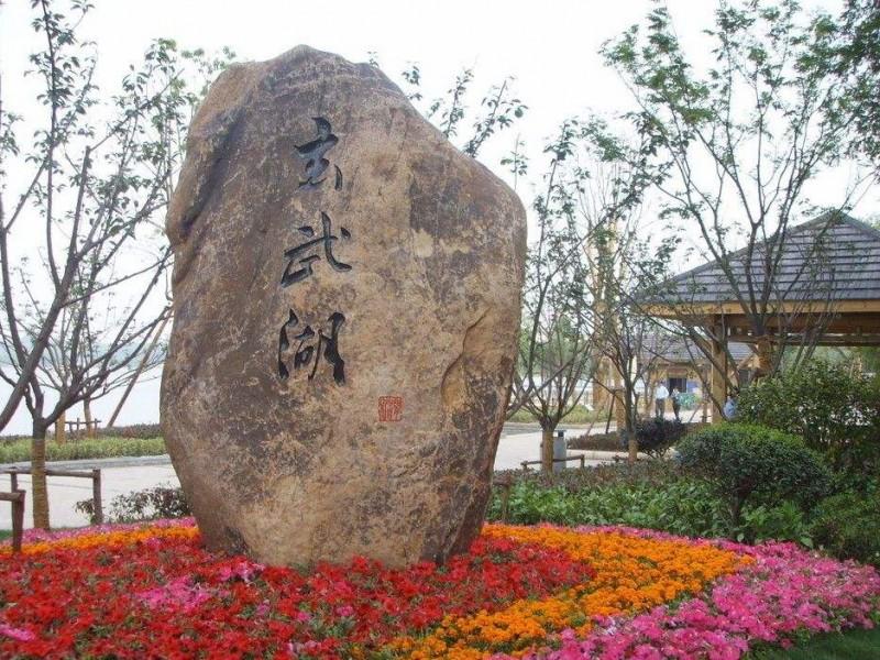 走近鲁迅阅读理解,梳理鲁迅的求学之路