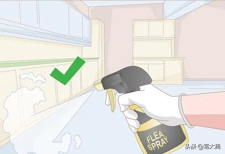 夏季如何辩认跳蚤的咬痕