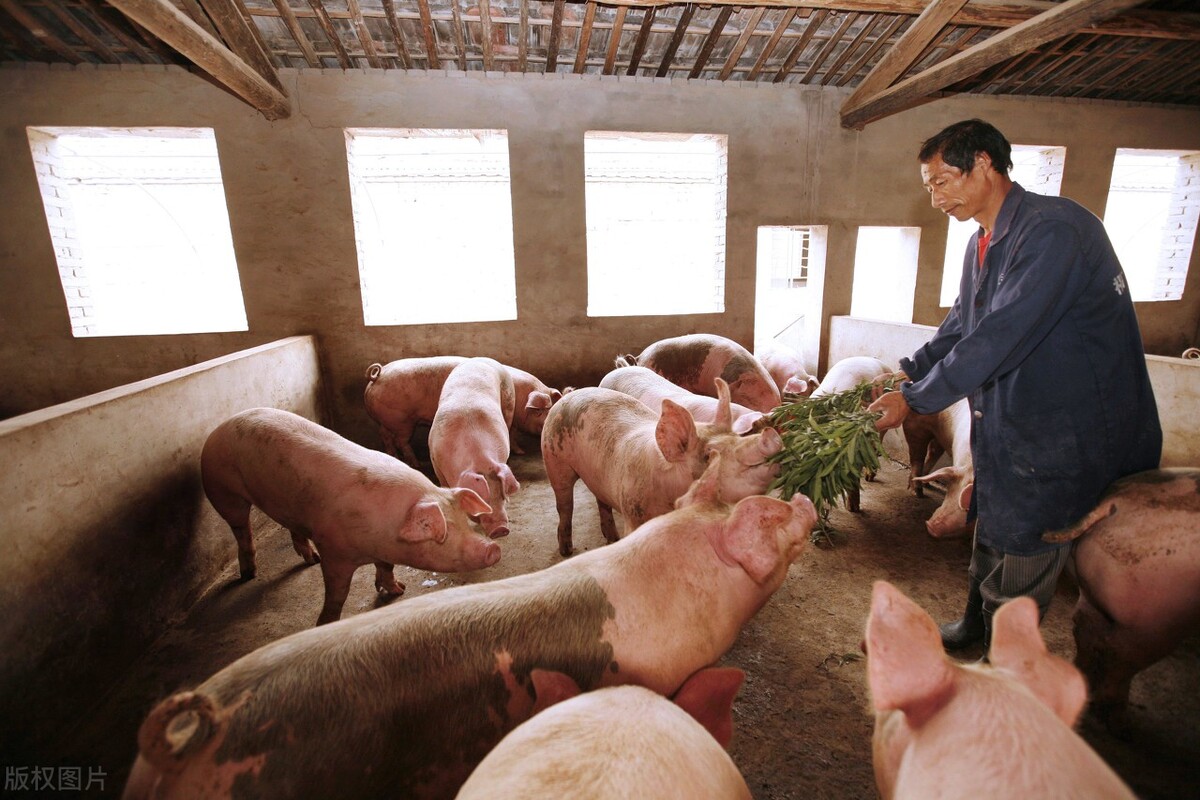 云南2024年开工水利项目一览表,云南150项重大水利项目