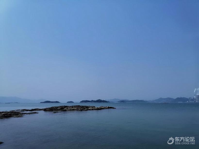 奉化海鲜自助餐有没有帝王蟹,奉化海鲜餐推荐