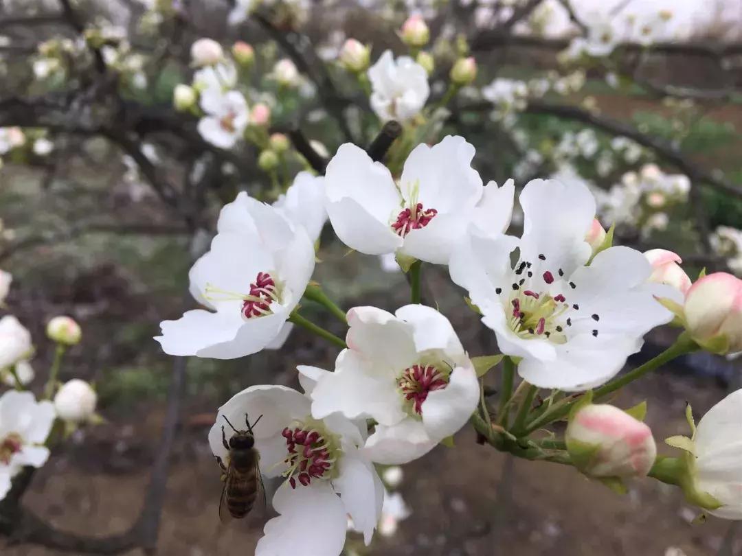 自驾旅游沿着g30高速公路看风景,沿g318去拉萨一路海拔