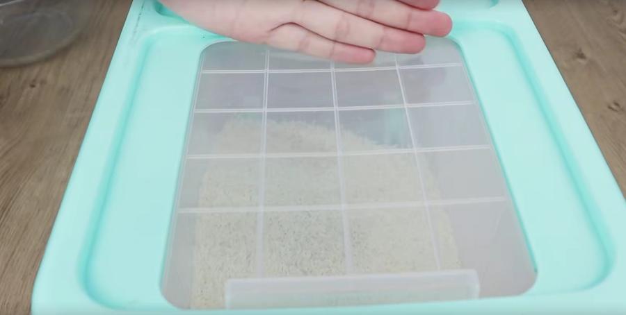 大米生虫怎么办?米店老板教我3个办法,小米虫通通消失,真实用