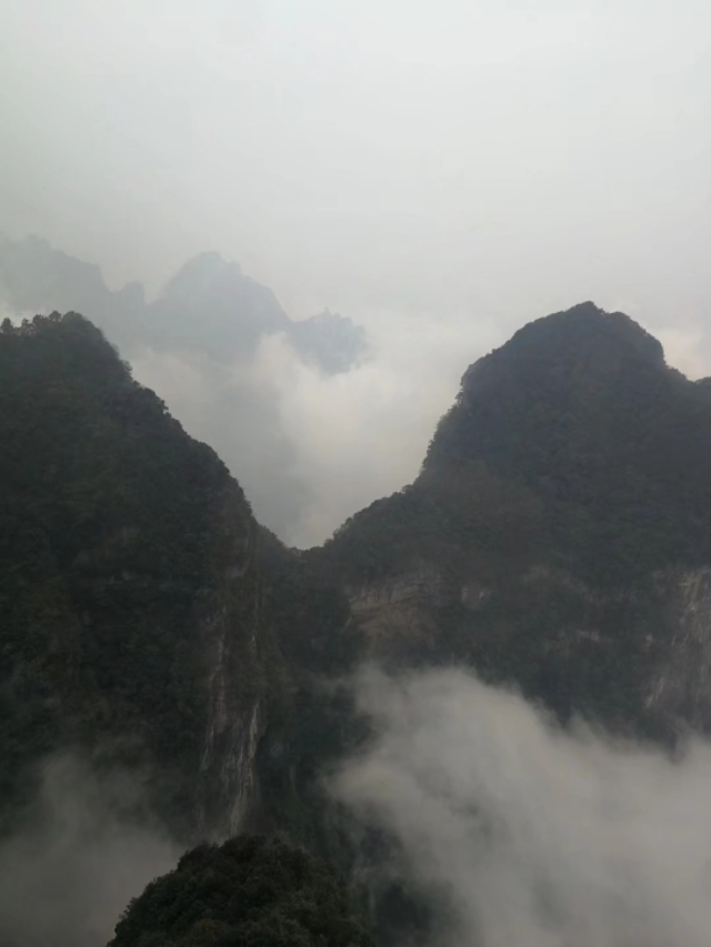 天门山一个人旅游,天门山的特别之处