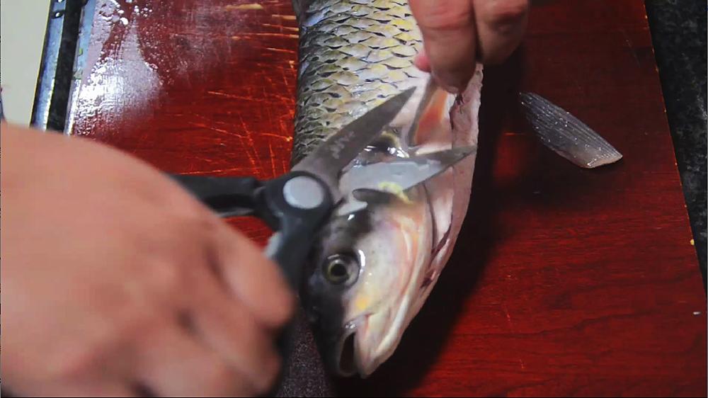 草鱼最美味的做法鲜香无腥味,草鱼最好吃的做法鲜嫩爽口