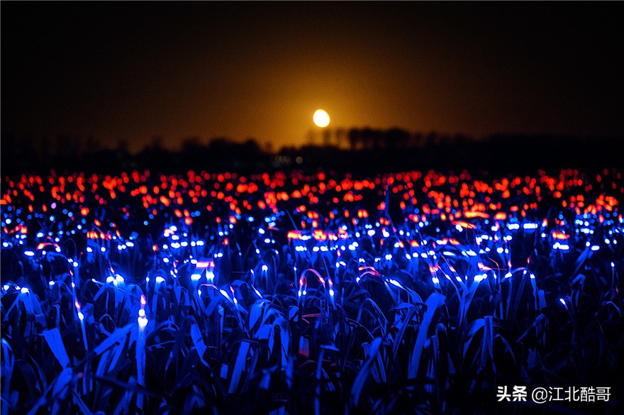 muse设计奖是不是很容易得到,musedesignawards