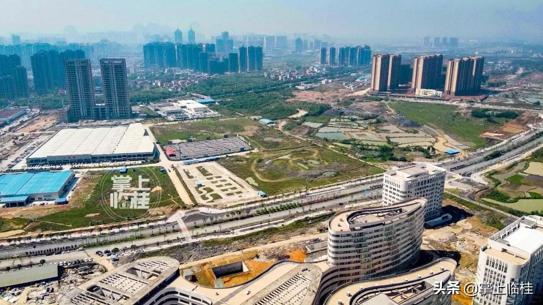 临桂区新建5所学校,临桂新区有哪些学校