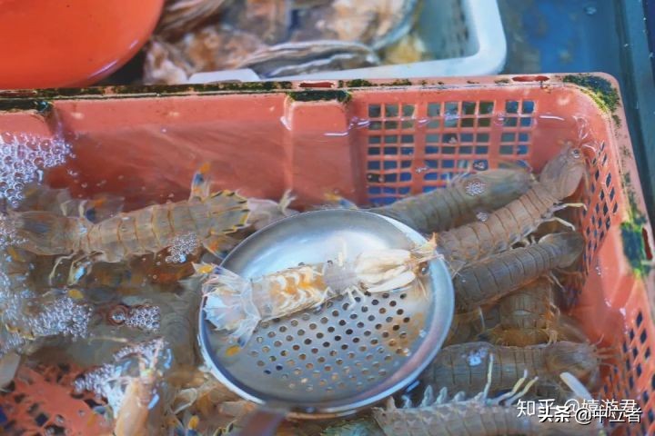 青岛好吃又好逛,青岛好吃档口