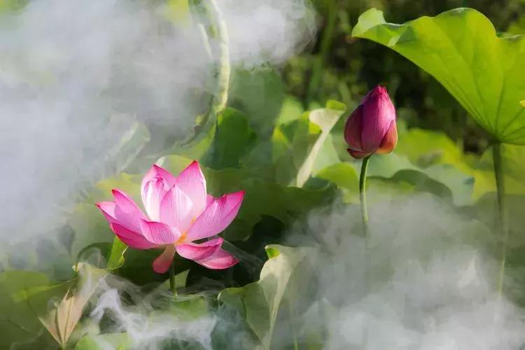 犍为风景最优美的地方,美丽的犍为风景