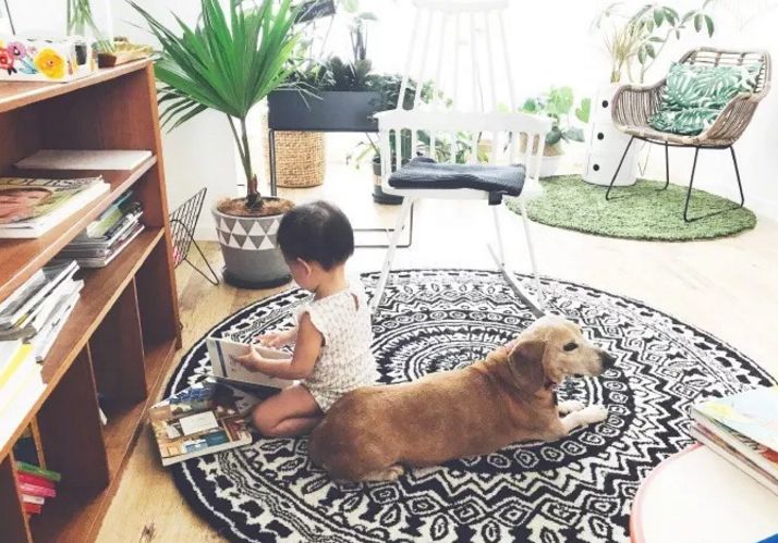 每个女明星的家都长什么样子,女明星家里都是怎么样的