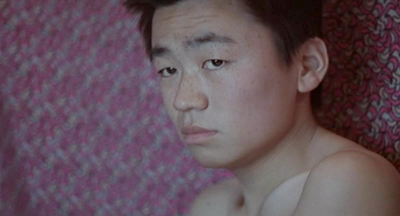 傻根王宝强电视剧,傻根王宝强的辛酸历程