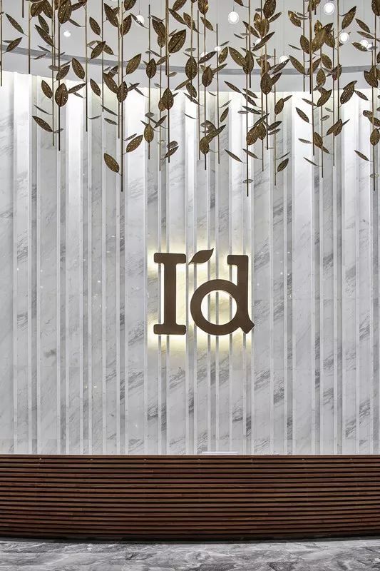 官方供应商|武网x爱帝遇见美好生活