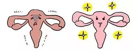 产后恢复的7大指标,产后恢复的7大指标你达标了吗