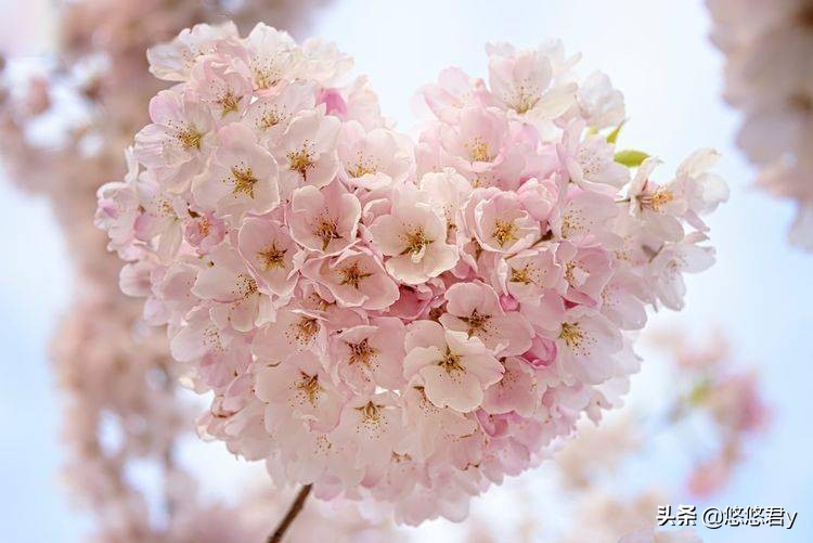 深爱过还想复合吗,深爱过分手的表现