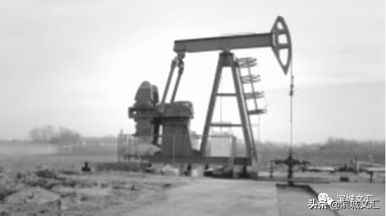 塘沽记忆图片,塘沽儿时记忆