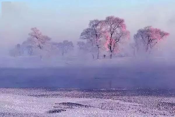 此生必去看一次雾凇太美了,此生必去看一次雾凇简直要美哭了