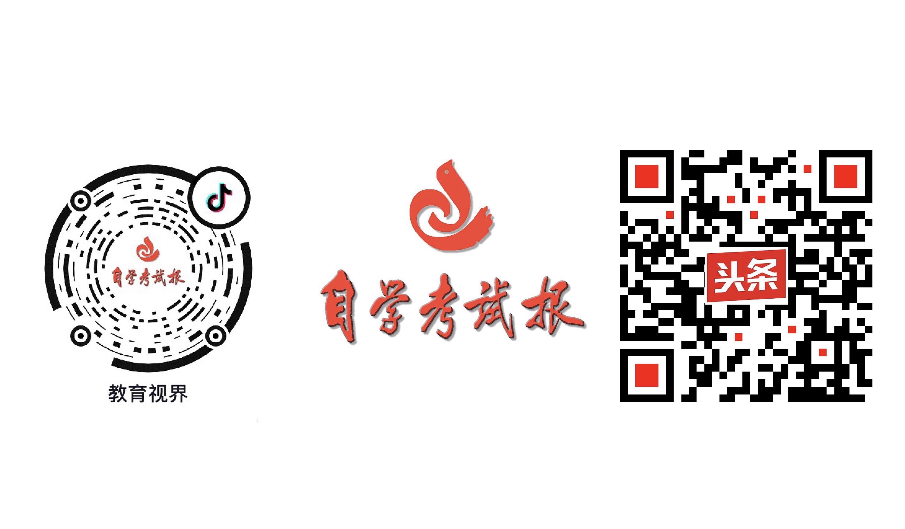 正高级教师、特级教师闫妍：谈疫情期间线上体验式作文丨行思教育