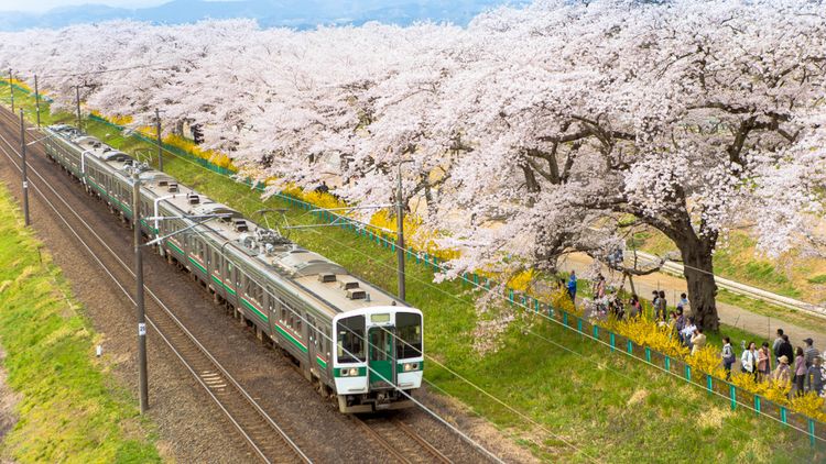 日本周游券和jrpass哪个好 (日本铁路周游券jr pass)