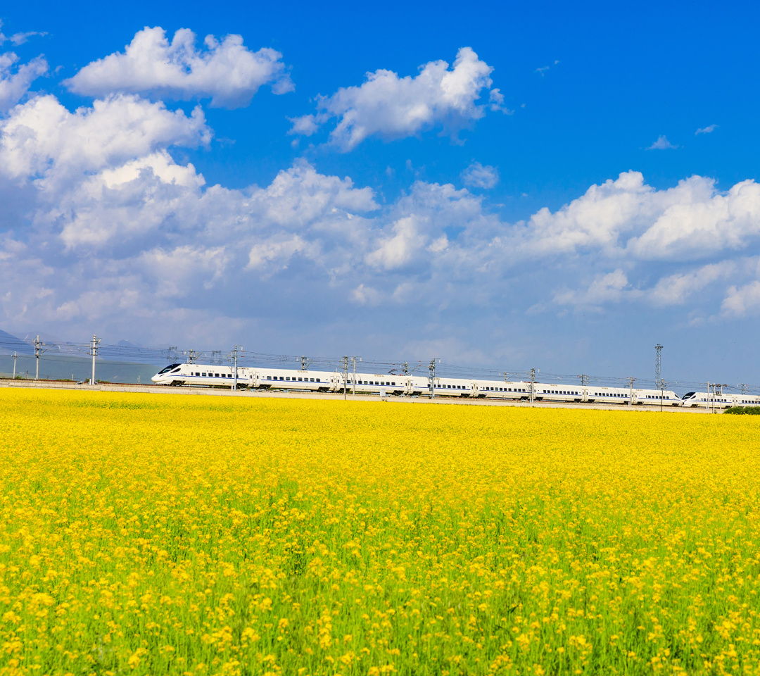 为什么是祁连山?|地球知识局