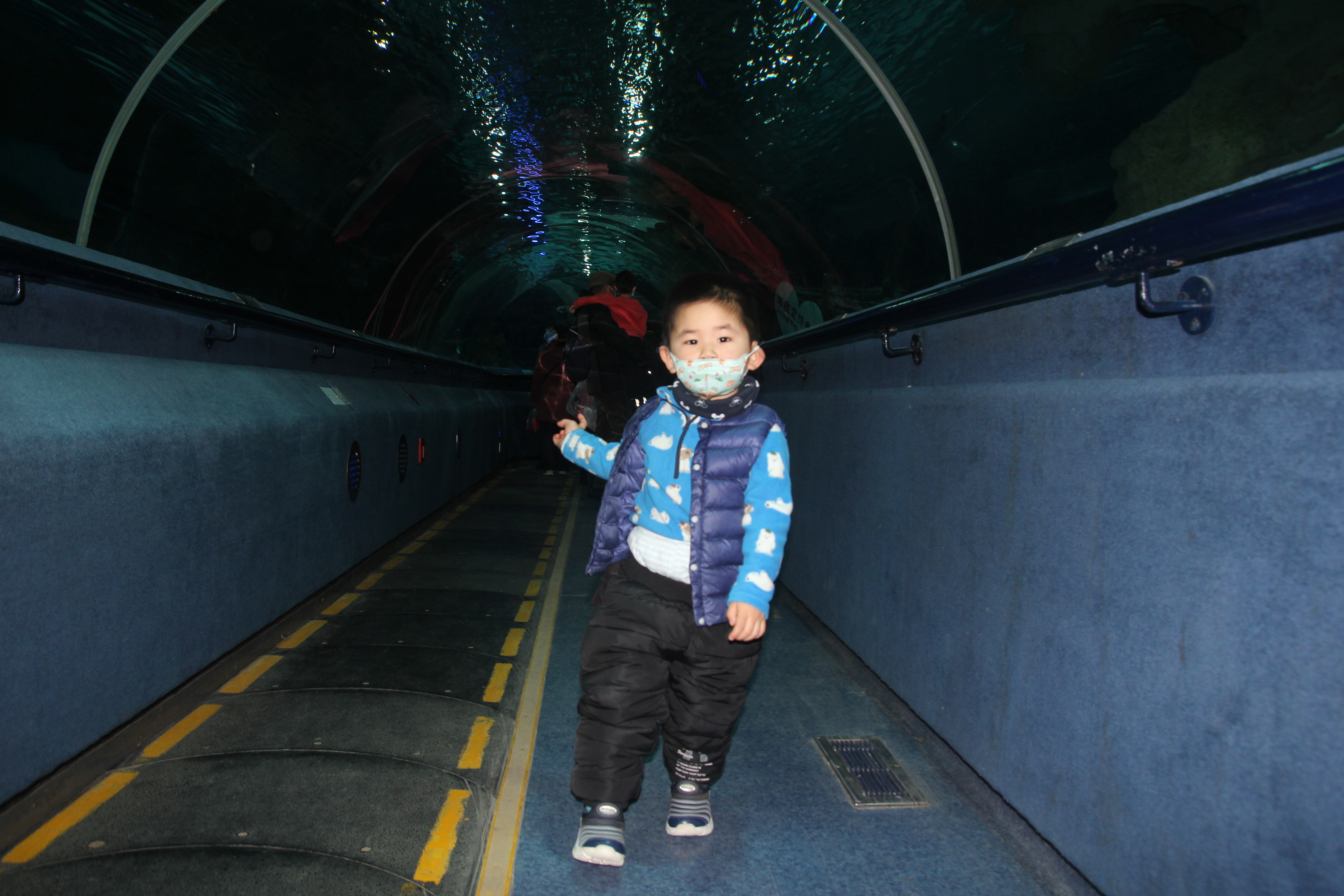 北京海洋馆和海底世界哪个值得玩,北京富国海底世界和海洋馆哪个好