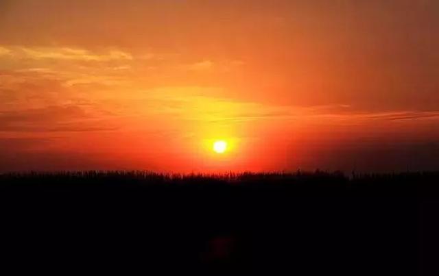 印度瑜伽30分钟冥想引导词,瑜伽盘坐冥想引导词五分钟