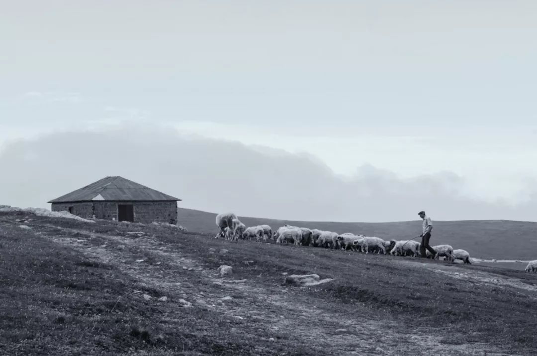 摄影小白适合拍什么,摄影小白拍人像用什么好