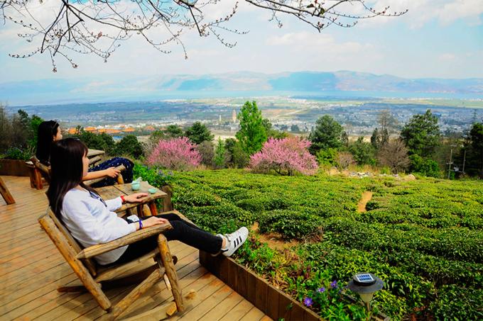 苍山的正确打开方式——做一日清闲山里人