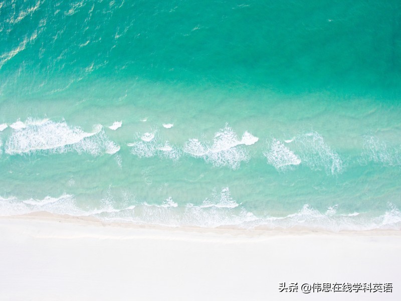 我国幼儿教育的目的,我国幼儿教育的基本出发点是