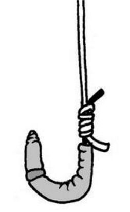 挂钓饵的正常方式简单又实用,挂饵的技巧和方法