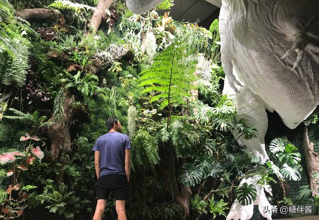 水哥为什么不继续上最强大脑,当年最强大脑的水哥现在如何了